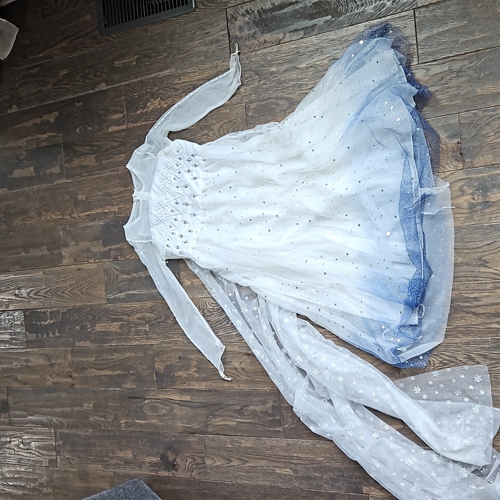 Elsa dress from Frozen 2